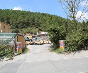 Kartal Merkez Adak Kurban Satış Yeri